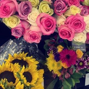 Meet your Posher, Cristina